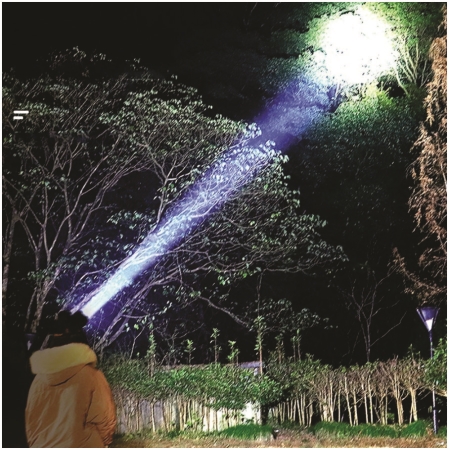 ĐÈN PIN ĐỘI ĐẦU (DSE103)