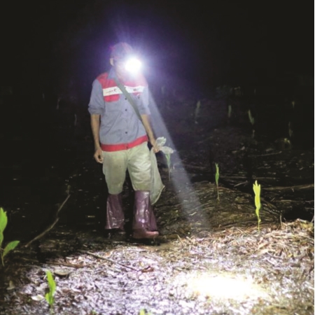 ĐÈN PIN ĐỘI ĐẦU (DSE107)