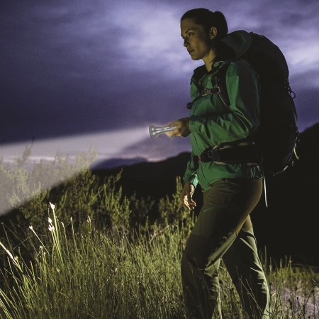 ĐÈN PIN LED (DSE108)