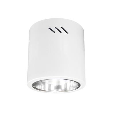 ĐÈN DOWNLIGHT GẮN NỔI (LGN 4)